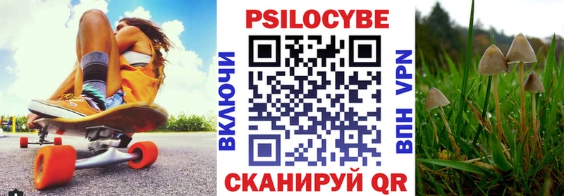 Галлюциногенные грибы мицелий  Купить где  Копейск 